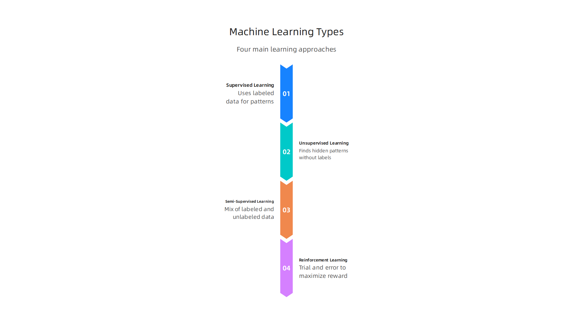 Machine learning algorithms are categorized into four primary types, each with unique learning approaches.